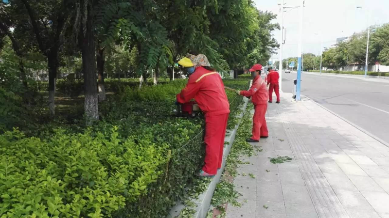 提升生活品质—丹江口物业动态解析