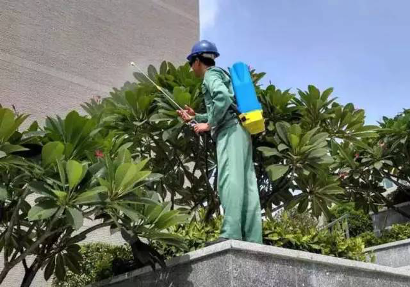 小区环境的守护者——物业公司的新角色